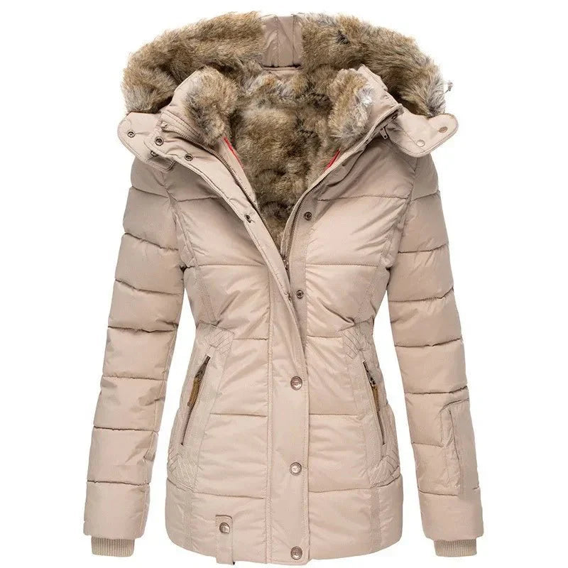 Winterjacke Damen mit Kapuze und Klarem Schnitt