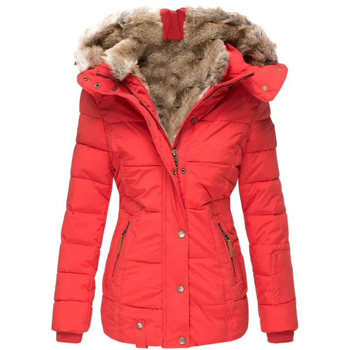 Winterjacke Damen mit Kapuze und Klarem Schnitt